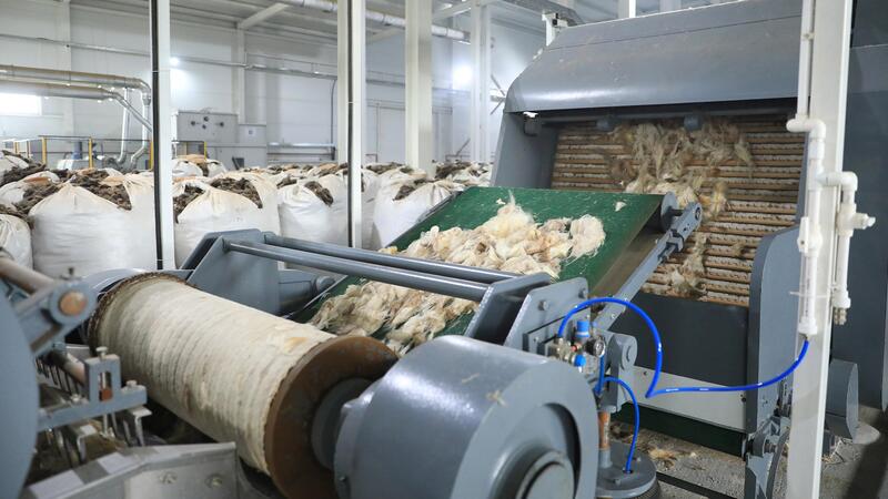 Актюбинская область занимает первое место в Казахстане по площади пастбищных земель