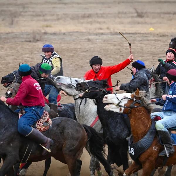 В Актобе отметили День «Салбурын», посвященный национальным видам спорта