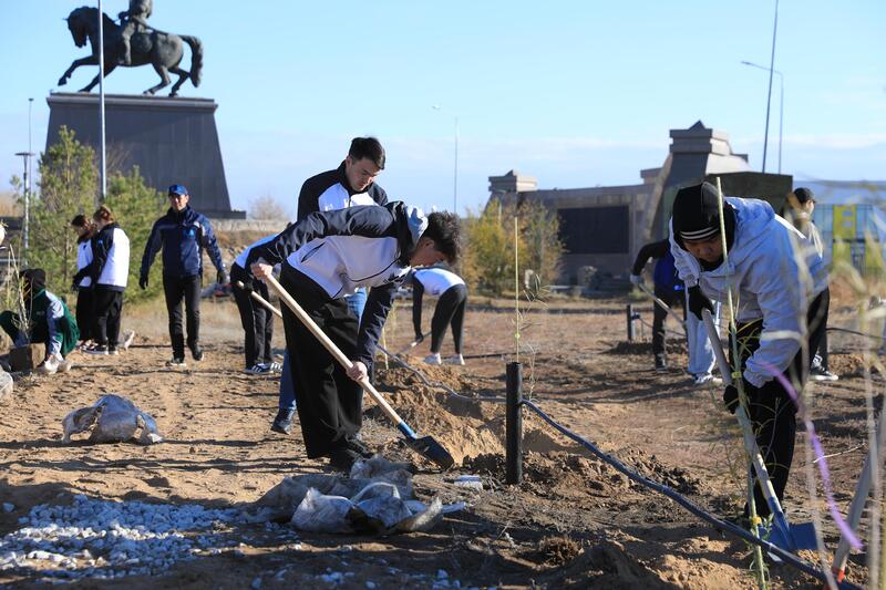 В Актобе впервые высадили реликтовое дерево турангу, приспособленное к засушливому климату