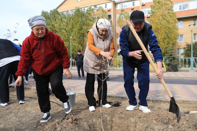 В рамках акции «Таза Казахстан» в Актюбинской области было высажено около 7300 саженцев