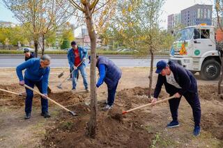 «Таза Қазақстан»: акцию по посадке деревьев провели в столице в День труда