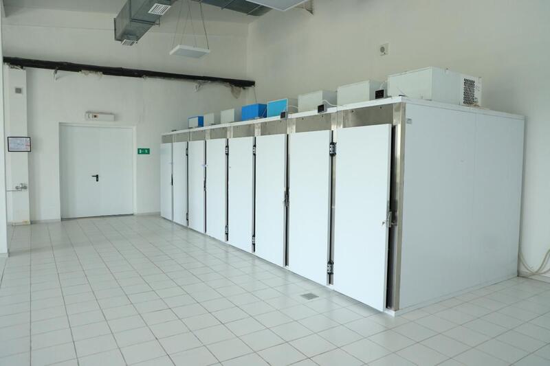 В Алматы запустили первый крематорий