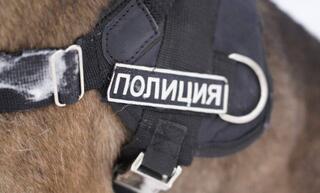 «Закон и порядок»: столичным студентам показали работу кинологической службы полиции Астаны