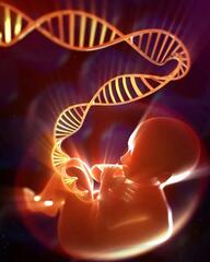 ДЕНЬ ОТКРЫТИЯ ДНК: КАКИЕ ВИДЫ ГЕНЕТИЧЕСКОЙ ДИАГНОСТИКИ ДОСТУПНЫ КАЗАХСТАНЦАМ