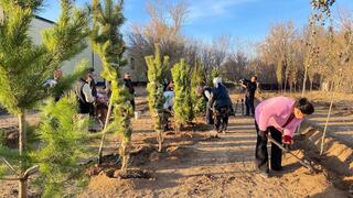 «Таза Қазақстан»: в Карагандинской области открывают скверы и озеленяют улицы
