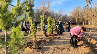 «Таза Қазақстан»: в Карагандинской области открывают скверы и озеленяют улицы