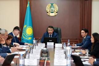 Ход реализации газовых проектов рассмотрели на Общественном совете при Минэнерго