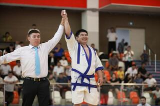 Наследники Балуана Шолака