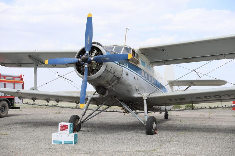 Борьба с саранчой: 850 специалистов мониторят обстановку в Актюбинской области