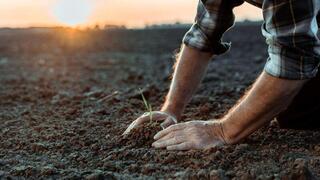 Фермерские полевые школы откроют в Алматы и Актюбинской области