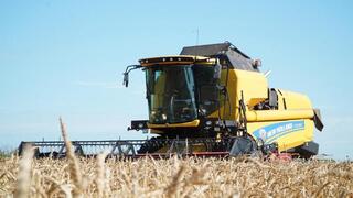 Рекордный урожай в Акмолинской области: собрано 7,1 млн зерновых