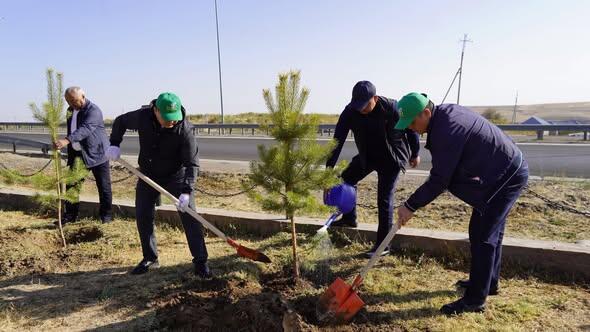 ТУРКЕСТАН: НА СУББОТНИКЕ В КАЗЫГУРТЕ БЫЛИ ПОСАЖЕНЫ ДЕКОРАТИВНЫЕ ДЕРЕВЬЯ