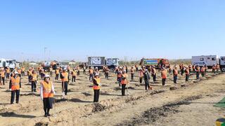 ТУРКЕСТАН: В АРЫСЕ ЖЕЛЕЗНОДОРОЖНИКИ ПОСАДИЛИ 120 ДЕРЕВЬЕВ В РАМКАХ АКЦИИ «ТАЗА ҚАЗАҚСТАН»