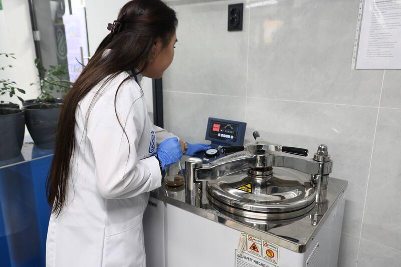 Ученые Сатпаева разработали ценные материалы из сельхозотходов