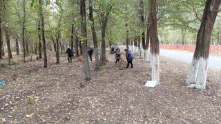 «Таза бейсенбі»: в Жетісу вывезено 500 тонн мусора, высажено 300 деревьев