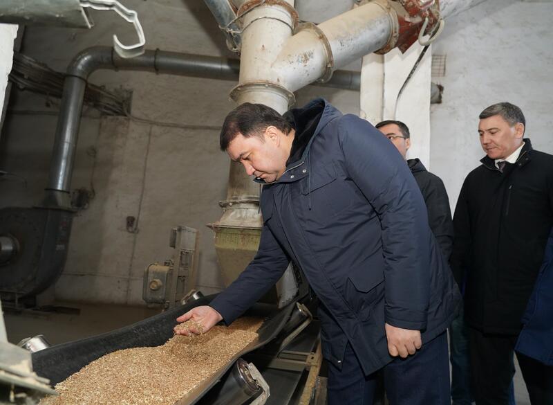 В ТУРКЕСТАНСКОЙ ОБЛАСТИ МОДЕРНИЗИРОВАН И ЗАПУЩЕН СОВРЕМЕННЫЙ ЗАВОД ПО ПЕРЕРАБОТКЕ ПШЕНИЦЫ