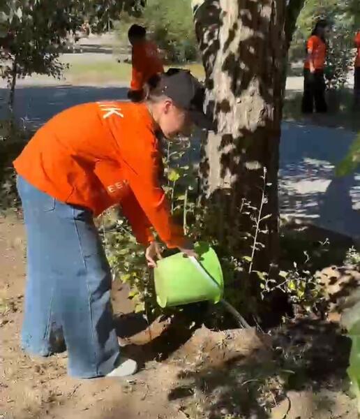 В рамках программы «Таза Қазақстан» в области Улытау прошли экологические мероприятия