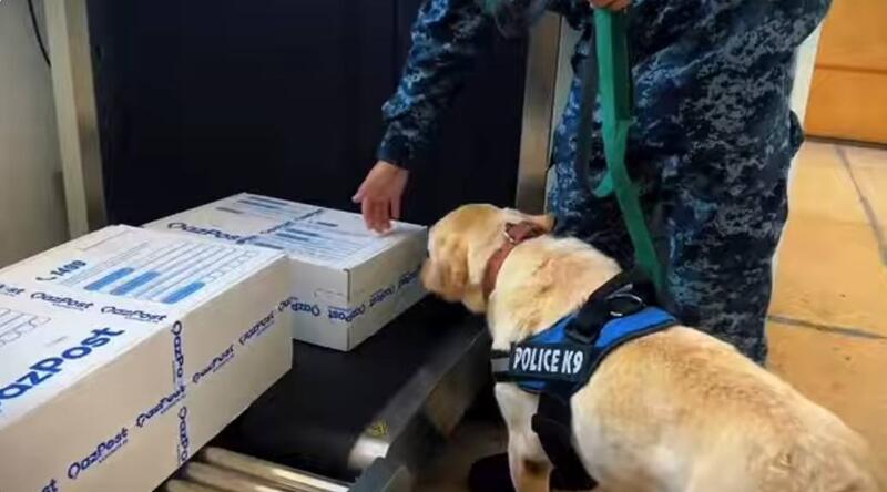 238 правонарушений выявлено за 10 месяцев в ЗКО