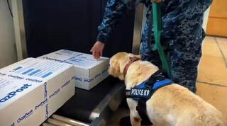 238 правонарушений выявлено за 10 месяцев в ЗКО