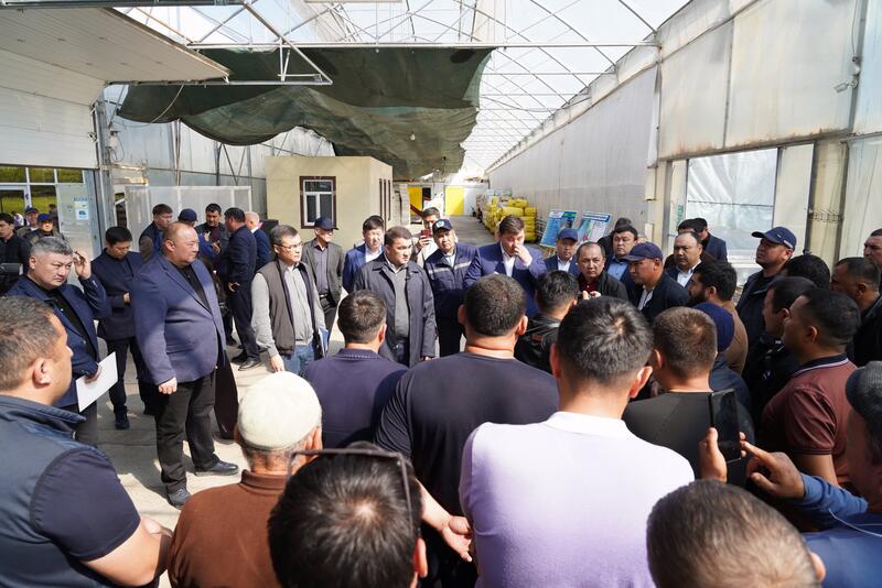 В ТУРКЕСТАНСКОЙ ОБЛАСТИ ВНЕДРЯЮТСЯ ЭКОЛОГИЧЕСКИ ЭФФЕКТИВНЫЕ СПОСОБЫ ОТОПЛЕНИЯ ТЕПЛИЦ