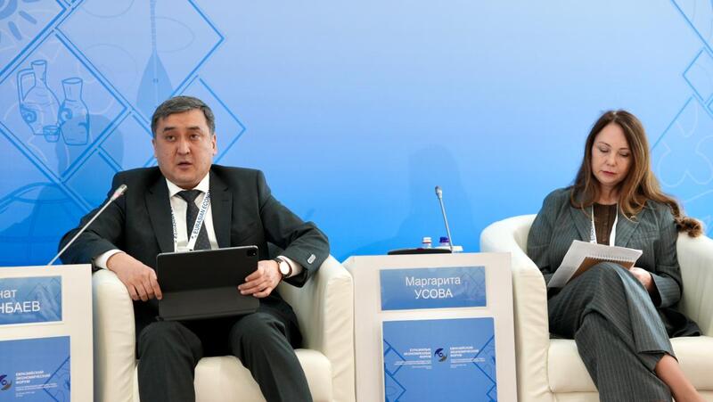 Казахстан презентовал ИИ-технологии управления рынком труда на Евразийском экономическом форуме