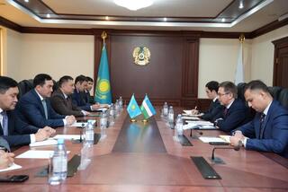 Казахстан и Узбекистан продвигают совместные проекты в энергетике