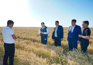 ТУРКЕСТАН: В ОТЫРАРЕ ВНЕДРИЛИ ВОДОСБЕРЕГАЮЩИЕ ТЕХНОЛОГИИ НА ХЛОПКОВЫХ И РИСОВЫХ ПОЛЯХ