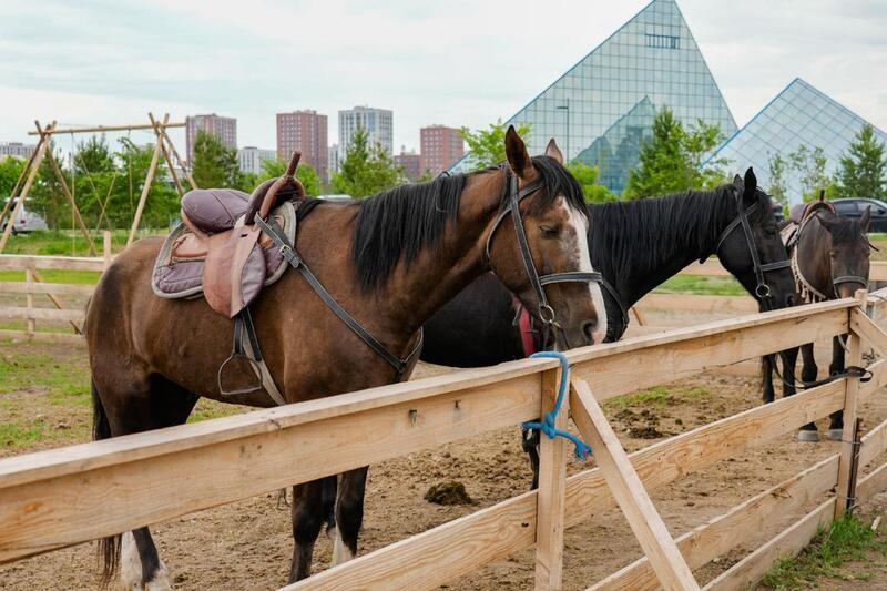 Этноаул «JETI QAZYNA» открыли в Астане