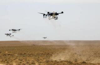 ТУРКЕСТАН: НА 700 ТЫС. ГА ЗЕМЛИ ПРОШЛА ХИМИЧЕСКАЯ ОБРАБОТКА