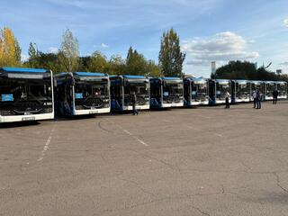 Как добраться на концерт Backstreet Boys: для зрителей запустили шаттлы