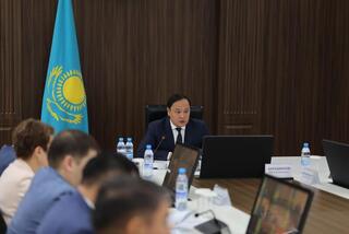 Нет ничего дороже жизни ребенка — Ербол Карашукеев раскритиковал меры по предотвращению суицидов