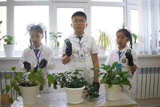 В школах Атырау подвели итоги экологических мероприятий