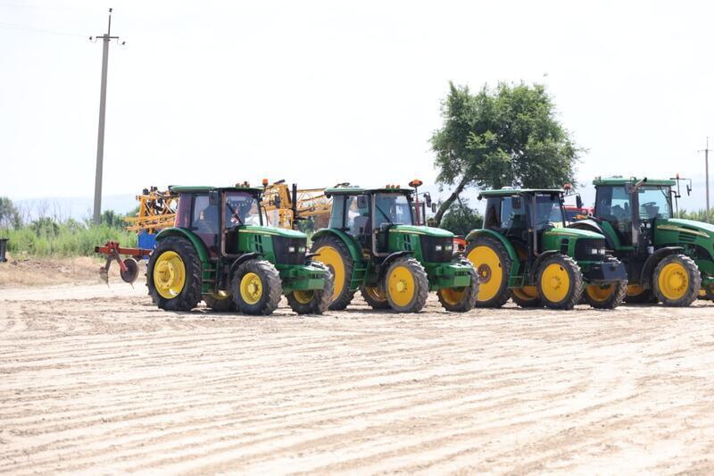 В Жетісу начали выращивать рапс, лен и фасоль