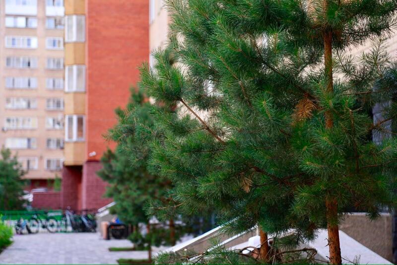 Ко Дню столицы в районе Сарайшык открыли благоустроенные дворы