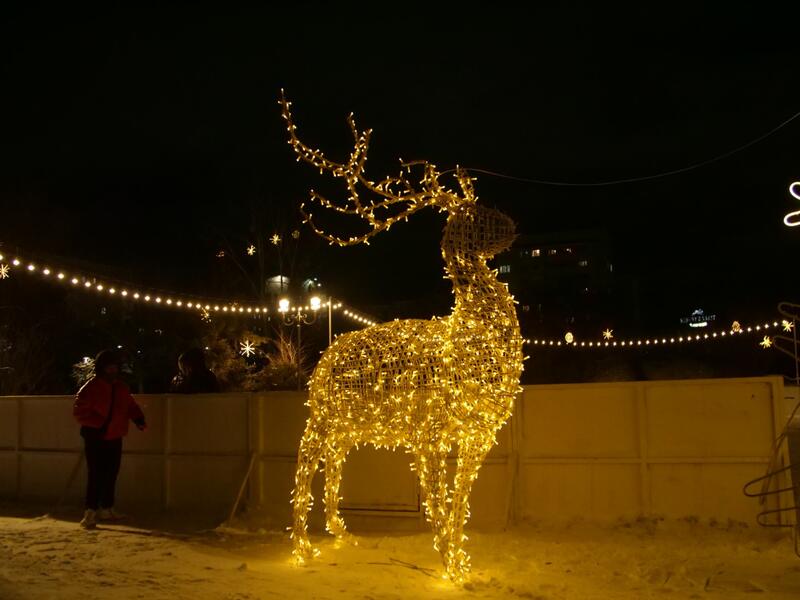Сквер на месте пустыря и десятки тысяч новых деревьев появились в столичном районе Байконыр в 2025 году