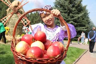 Apple Fest-2024: Нiro и Captown, 130 тонн яблок, 1 700 литров яблочного компота и цирк шапито