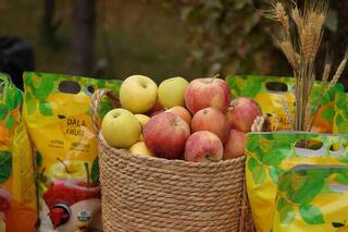 Фестиваль яблок в честь 80-летия ФАО и Всемирного дня продовольствия прошел в Астане