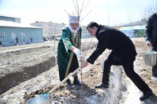 ТУРКЕСТАН: В ОТЫРАРЕ В ЧЕСТЬ ДНЯ ОБНОВЛЕНИЯ ВЫСАДИЛИ 500 САЖЕНЦЕВ