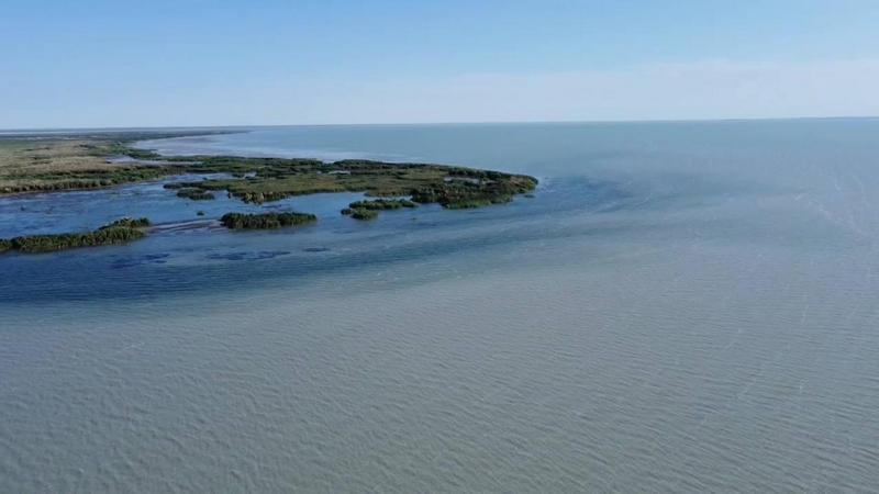 На Балхаше изучают состояние рыбных запасов