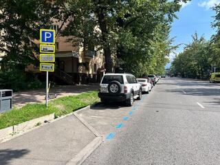 На дорогах Алматы появилась синяя разметка – что она означает?