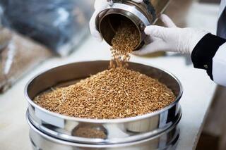 В Алматинской области будет построен завод по производству премиксов