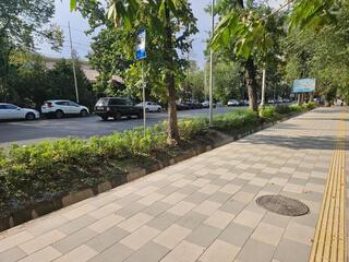 Зеленые буферные зоны появятся на восьми улицах Алматы