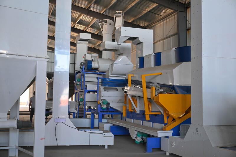 Аким области ознакомился со строительством завода по производству комбикормов в селе Маканчи