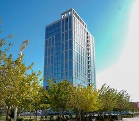 В НОВОМ МЕЖДУНАРОДНОМ УНИВЕРСИТЕТЕ В ТУРКЕСТАНЕ БУДУТ ОБУЧАТЬ ТЕХНОЛОГИЯМ ИСКУССТВЕННОГО ИНТЕЛЛЕКТА