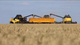 Сбор урожая: как исполняются поручения Президента по поддержке аграриев и обеспеченности сельхозформирований техникой