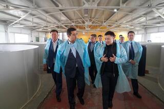 В Мангистауской области Айдарбек Сапаров ознакомился с работой зернового терминала