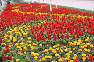 В ТУРКЕСТАНЕ СИСТЕМНО ВЕДУТСЯ РАБОТЫ ПО БЛАГОУСТРОЙСТВУ И ОЗЕЛЕНЕНИЮ