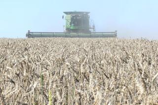 Развитие глубокого перерабатывающего потенциала аграрного сектора