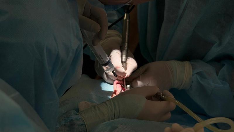 В Карагандинской области впервые провели операцию по восстановлению слуха ребёнку с помощью кохлеарной имплантации