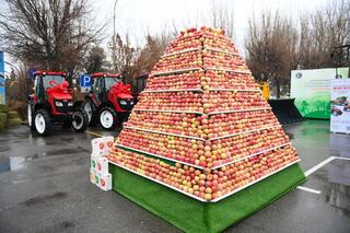 Алматинская область представила годовые достижения в сельском хозяйстве